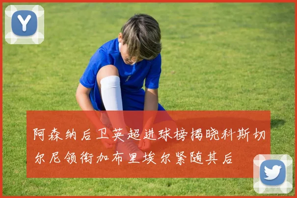 阿森纳后卫英超进球榜揭晓科斯切尔尼领衔加布里埃尔紧随其后